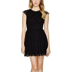 Aritzia Talula Skater Dress